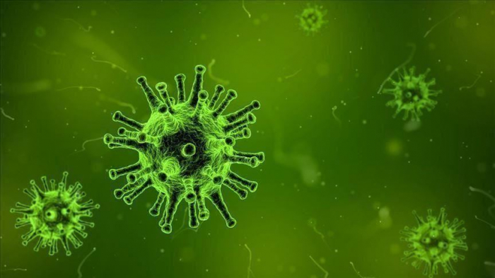   Coronavirus:   Les États-Unis confirment trois nouveaux cas