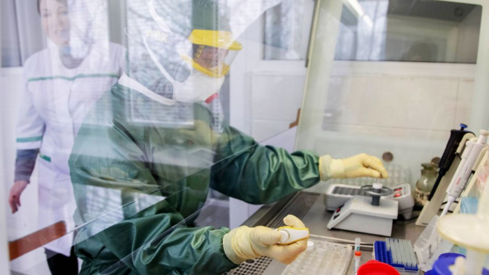 Coronavirus im Labor nachgezüchtet 