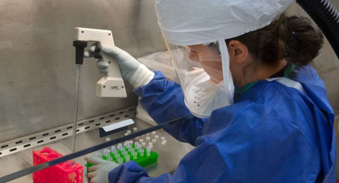 Científicos australianos cultivan una cepa del coronavirus, ¿para qué?