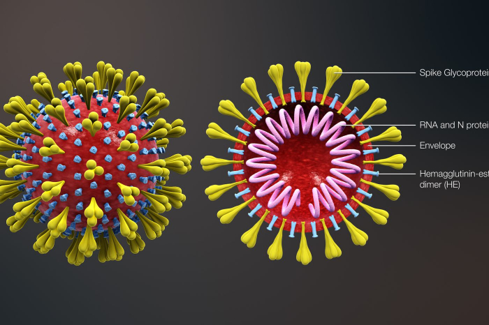   Investigan si un paciente trasmitió el coronavirus a 16 personas  