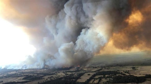 أستراليا: توقعات بتراجع حدة حرائق الغابات
