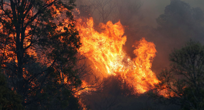 أستراليا تفقد الاتصال بطائرة تشارك في إخماد حرائق الغابات