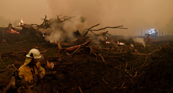 أستراليا تخصص 34.5 مليون دولار لاستعادة الحياة البرية بعد الحرائق