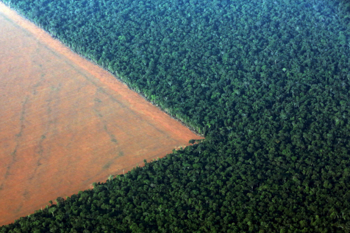 Brésil: augmentation de 85% de la déforestation en Amazonie en 2019