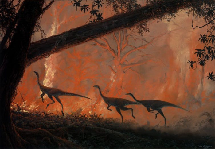   Bushfires have driven mass extinctions on Earth before, they could do it again   
 