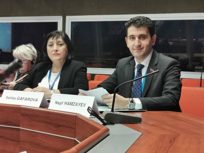  Azerbaijani MP elected as deputy chairman at PACE  