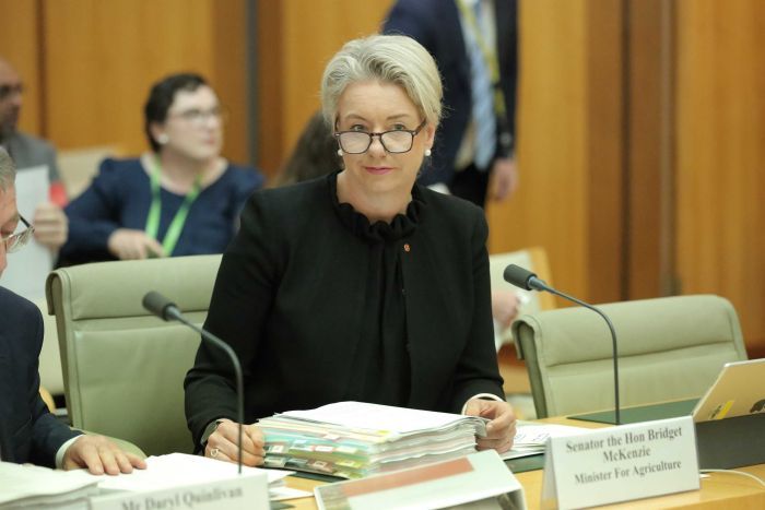 Senior Australian minister resigns after public funds used to target marginal electorates