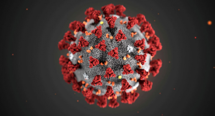     Coronavirus –   ein Code, der sich Milliarden Jahre entwickelte, um Virenträger-Zellen zu unterwerfen?  