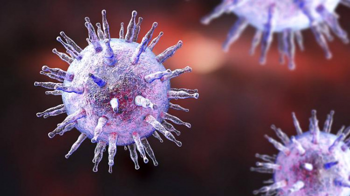   Welche Viren lösen wie oft Krebs aus?  