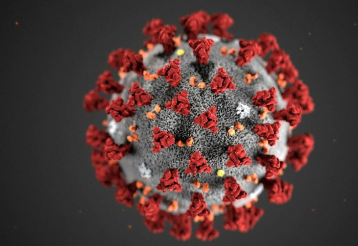 US-Schnelltest für Coronavirus funktioniert nicht richtig
