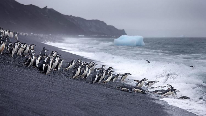   "Antarktis-Faktor" wohl stärker als erwartet  