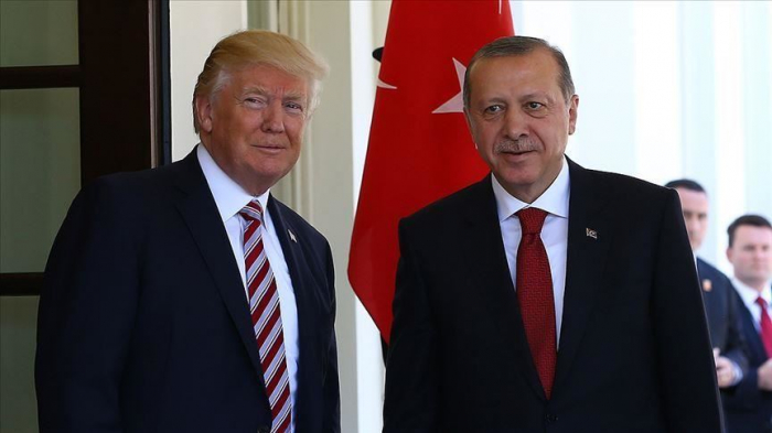 Erdogan, Trump discuss situation in Libya, Syria