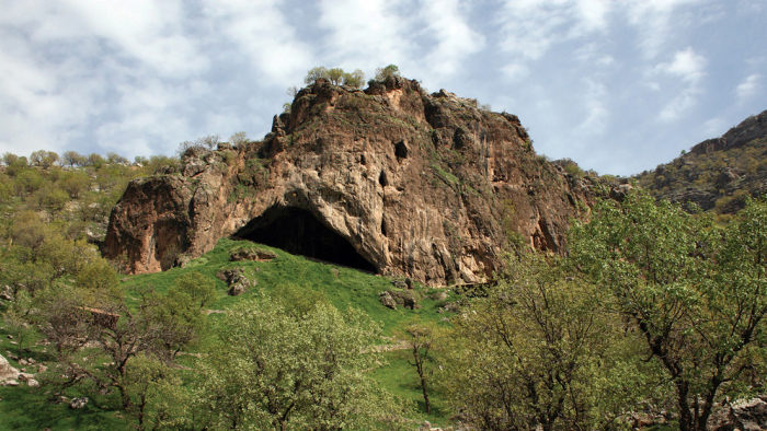 El descubrimiento de un esqueleto de neandertal en una cueva de Irak sugiere el uso de flores en sus ritos funerarios