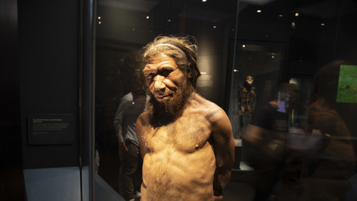 Descubren rastros de una población desconocida en el ADN de los neandertales y los denisovanos