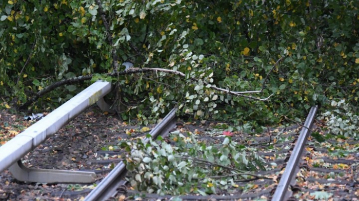 Sturm sorgt für Probleme auf der Schiene