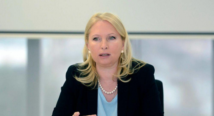   Georgian Minister: Close Georgian-Azerbaijani relations contribute to development of joint projects  