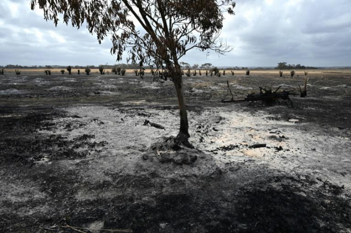  Australie:  la pluie devrait mettre un terme à la crise des feux de forêts