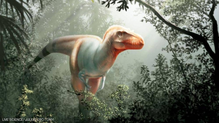 اكتشاف "حاصد الموت".. فصيلة جديدة من الديناصورات
