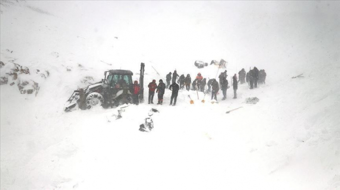     Avalanche en Turquie:   30 personnes secourues  
