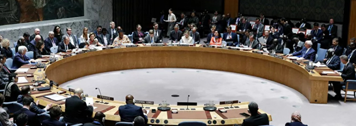 دول عربية تدعو مجلس الأمن الدولي إلى اجتماع عاجل بشأن فيروس "كورونا"