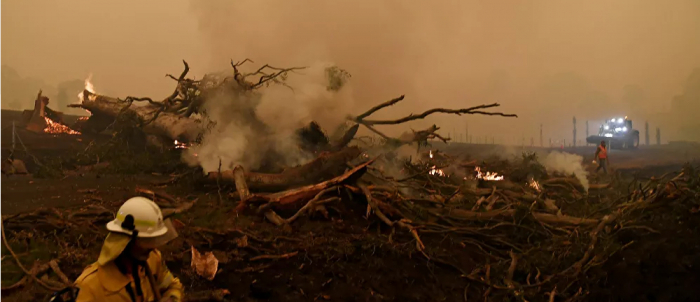 مصرع 19 شخصا بسبب حرائق الغابات في الصين... فيديو