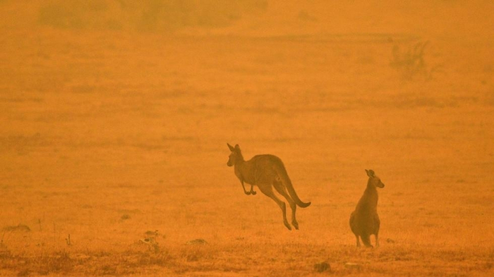 Australia developing satellite to predict bushfire danger zones  