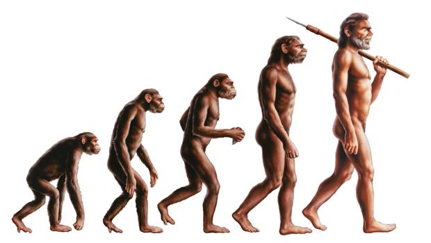 Por qué la clásica ilustración de la evolución del mono al hombre está totalmente equivocada