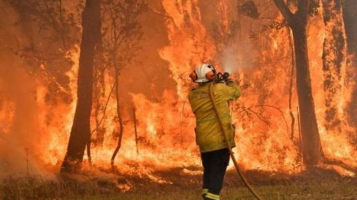 Les incendies des derniers mois coûteront 2,6 milliards d