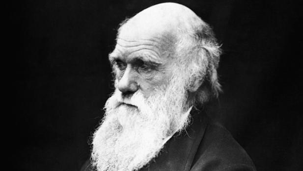 Demuestran una teoria de Darwin 150 años después de su muerte
