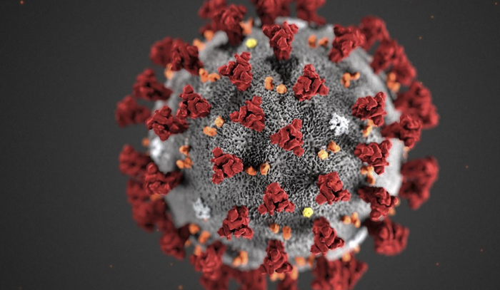     Coronavirus:   plus de 600.000 cas officiellement déclarés dans le monde  