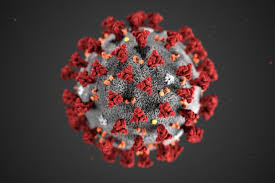 Can the coronavirus infect someone twice?  