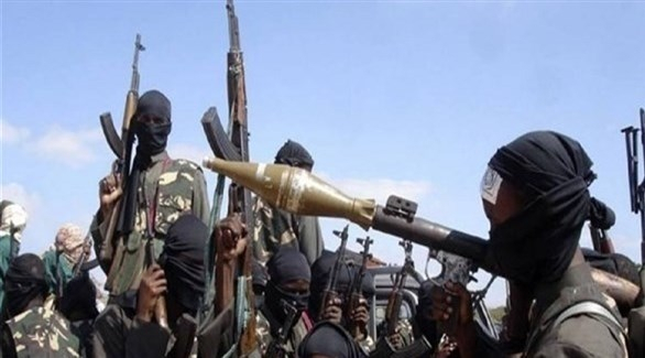 النيجر: مصرع قيادي في بوكو حرام
