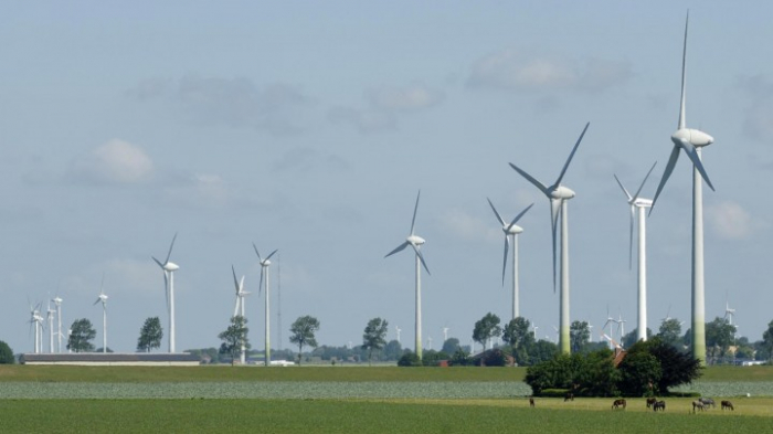 Ministerin Schulze stellt Klimabilanz 2019 vor