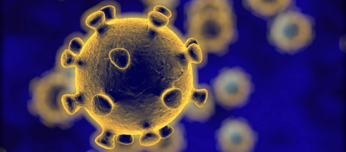 Ce nouvel outil est destiné à minimiser le risque de contagion du coronavirus -  Vidéo 