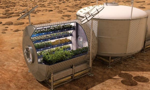 Space-grown lettuce to give astronauts a more varied diet