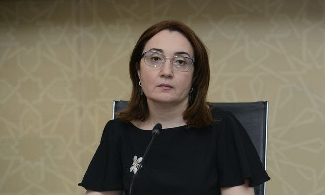   "In allen aserbaidschanischen Bezirken wurden Fälle von Coronavirus aufgedeckt" -   TABIB    