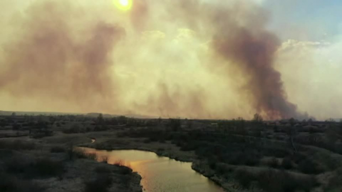   Forest fires rage in Chernobyl area as radiation 