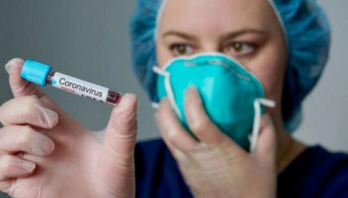     590   infectados se han curado del coronavirus, han muerto   18    