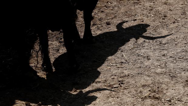 La sombra de la crisis se alarga en el mundo del toro con la suspensión de San Fermín 2020