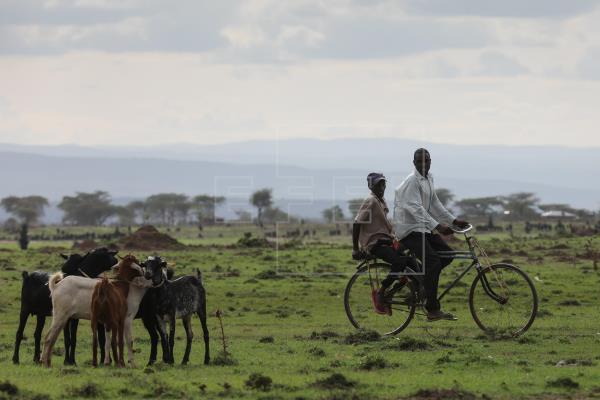 En África, el hambre puede ganarle la partida al coronavirus