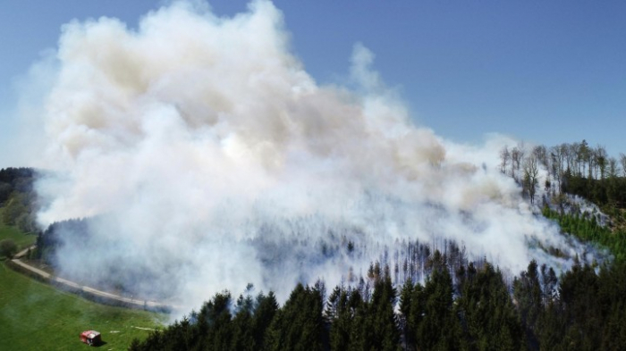 Trockenheit und Waldbrand schon im Frühjahr – was die aktuelle Wetterlage für die Natur bedeutet