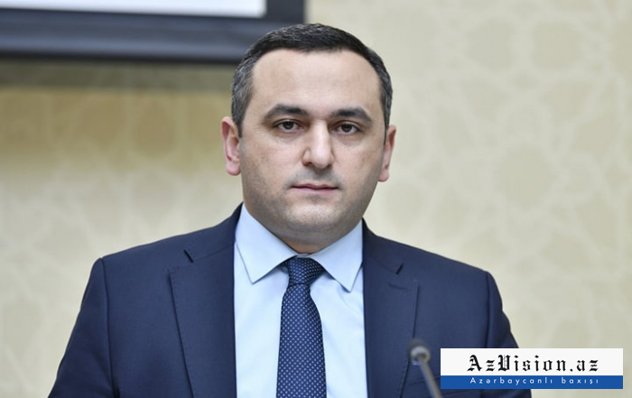   TABIB: No scarcity of doctors observed in Azerbaijan  