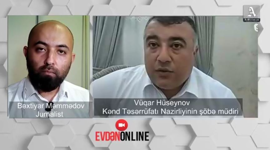    “Fermer 40 günə 9 min manat qazana bilər” -    Nazirlik rəsmisi (VİDEO)      