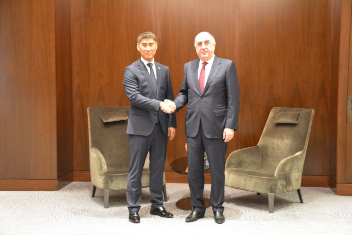   Azerbaijani, Kyrgyz FMs mull agenda of existing co-op in bilateral, multilateral formats  