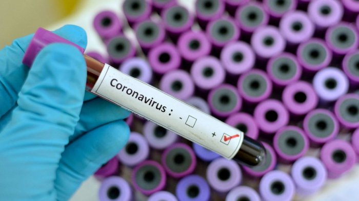   Coronavirus: Plus de 125.000 morts en Europe  