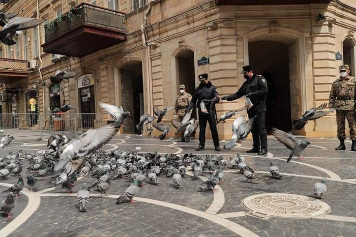  Baku Police officers feed pigeons -  PHOTOS  