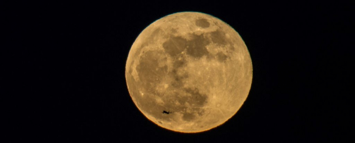  Need a distraction?  The Brightest Supermoon of 2020   will rise on Wednesday   