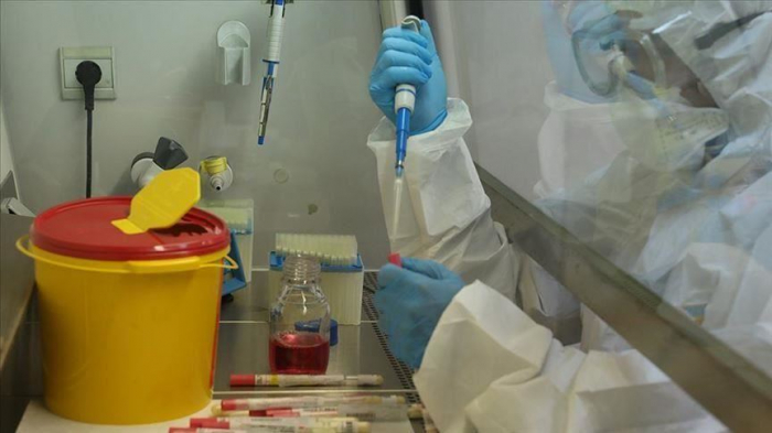 Gürcüstanda 115 nəfərdə koronavirus aşkarlandı