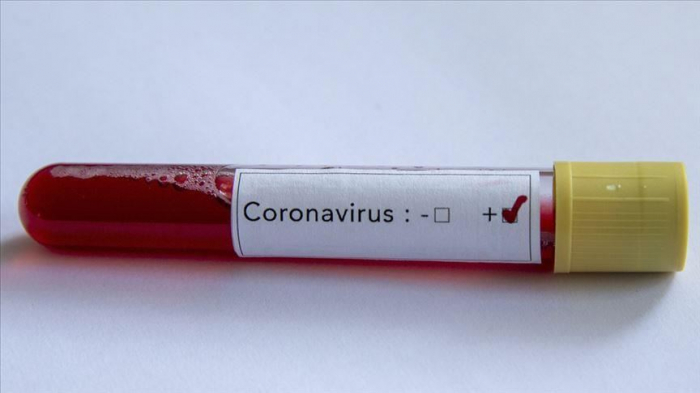 Niderlandda koronavirusa yoluxanların sayı artıb  
