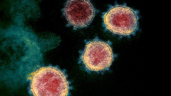   Coronavirus nicht gefährlicher als Grippe?  
